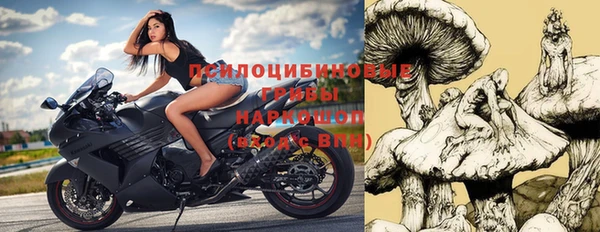 шишки Абинск
