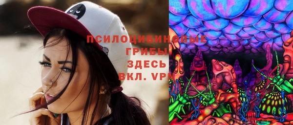 шишки Абинск