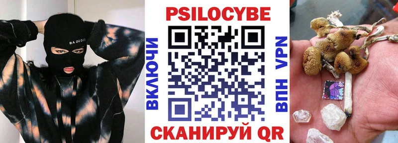 Псилоцибиновые грибы Psilocybine cubensis  Катав-Ивановск 